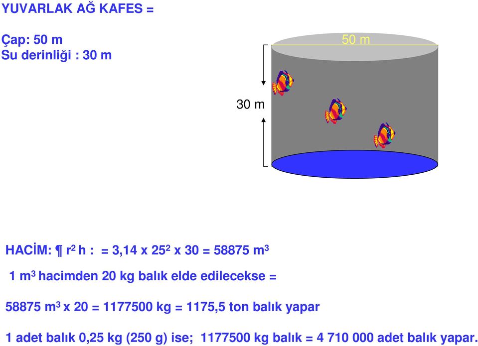 1 m 3 hacimden 20 kg balık elde edilecekse = 58875 m 3 x 20 = 1177500 kg = 1175,5