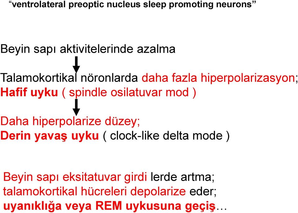) Daha hiperpolarize düzey; Derin yavaş uyku ( clock-like delta mode ) Beyin sapı