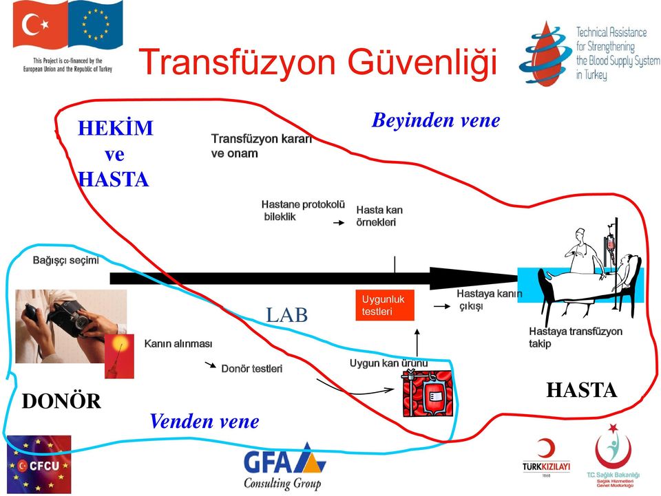 seçimi Kanın alınması LAB Uygunluk testleri Hastaya kanın çıkışı