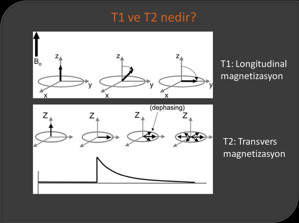 magnetizasyon T2: