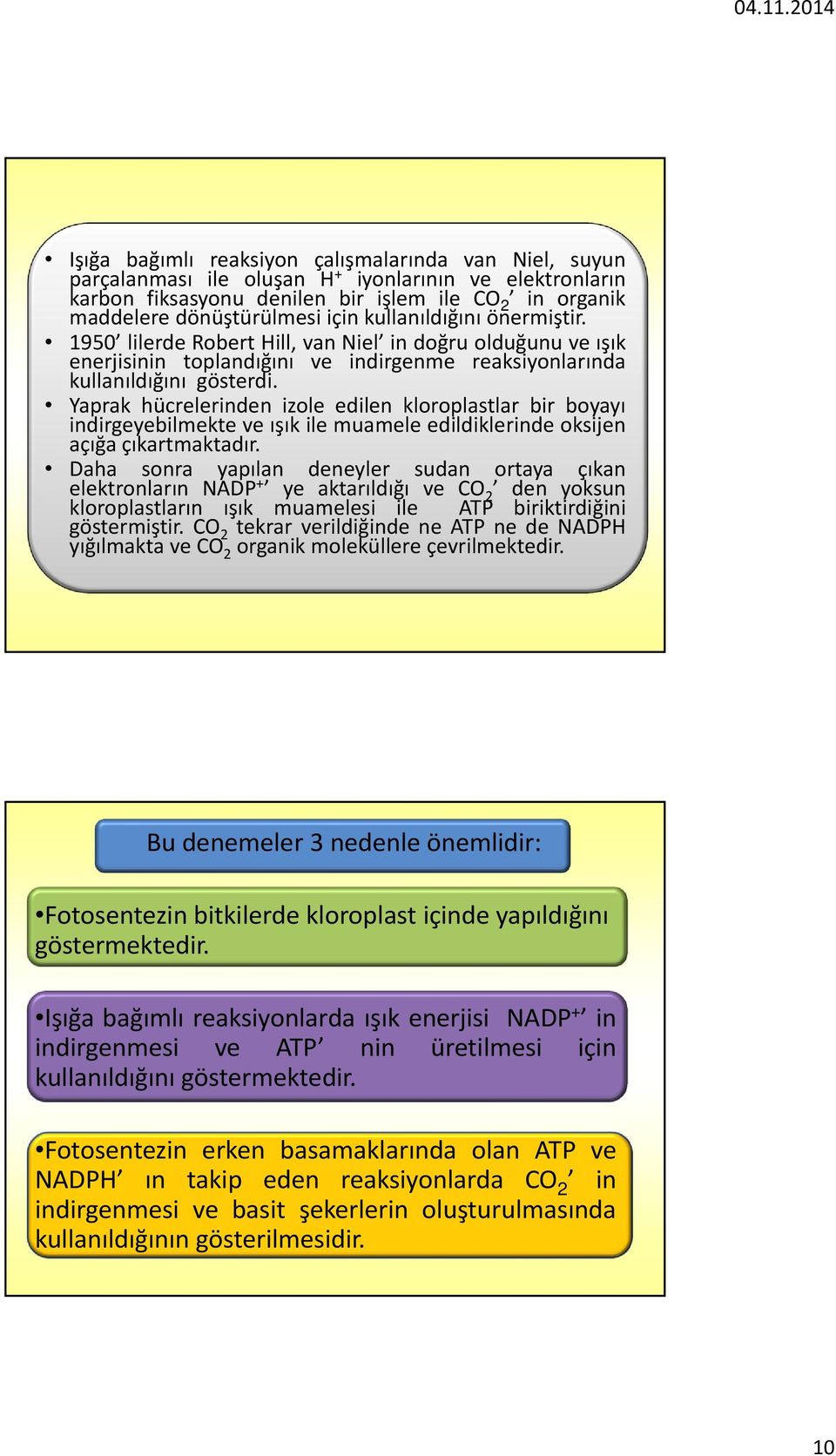 Yaprak hücrelerinden izole edilen kloroplastlar bir boyayı indirgeyebilmekte ve ışık ile muamele edildiklerinde oksijen açığaçıkartmaktadır.