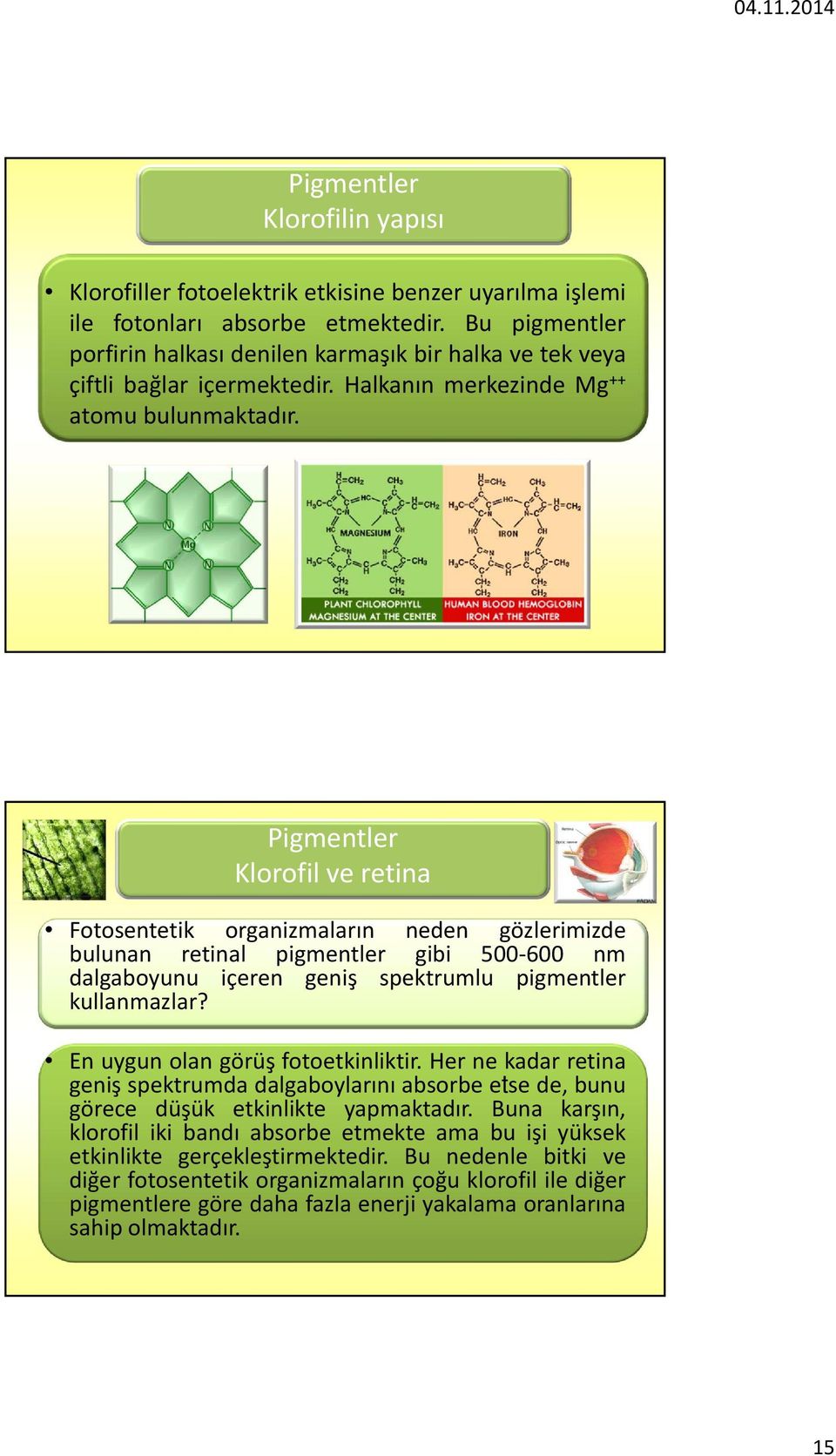 Pigmentler Klorofil ve retina Fotosentetik organizmaların neden gözlerimizde bulunan retinal pigmentler gibi 500 600 nm dalgaboyunu içeren geniş spektrumlu pigmentler kullanmazlar?