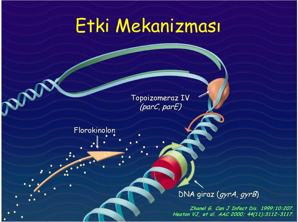 Zhanel G. Can J Infect Dis. 1999;10:207.