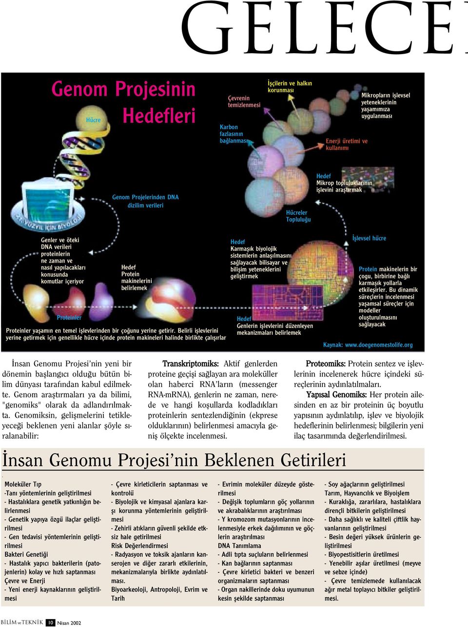 konusunda komutlar içeriyor Hedef Protein makinelerini belirlemek Proteinler Proteinler yaflam n en temel ifllevlerinden bir ço unu yerine getirir.