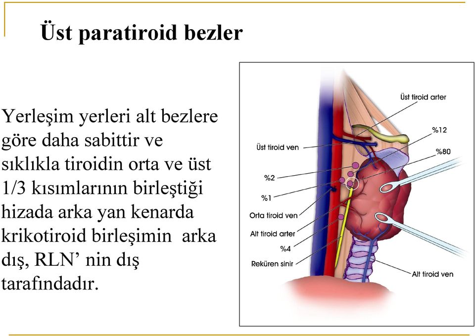 1/3 kısımlarının birleştiği hizada arka yan kenarda