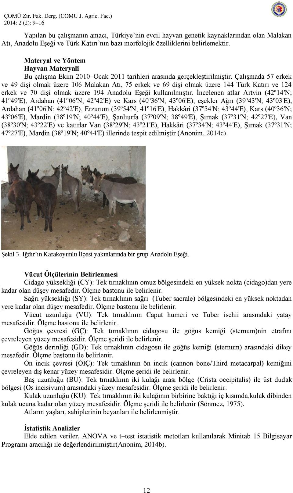 ÇalıĢmada 57 erkek ve 49 diģi olmak üzere 106 Malakan Atı, 75 erkek ve 69 diģi olmak üzere 144 Türk Katırı ve 124 erkek ve 70 diģi olmak üzere 194 Anadolu EĢeği kullanılmıģtır.