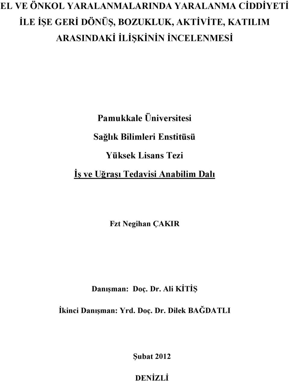 Bilimleri Enstitüsü Yüksek Lisans Tezi İş ve Uğraşı Tedavisi Anabilim Dalı Fzt Negihan