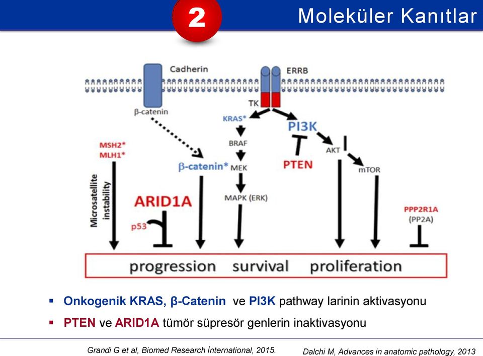 genlerin inaktivasyonu Grandi G et al, Biomed Research