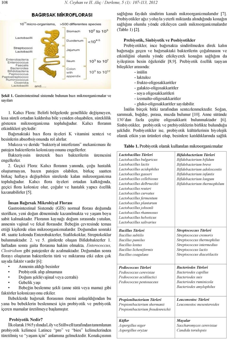 Gastrointestinal sistemde bulunan bazı mikroorganizmalar ve sayıları 1.