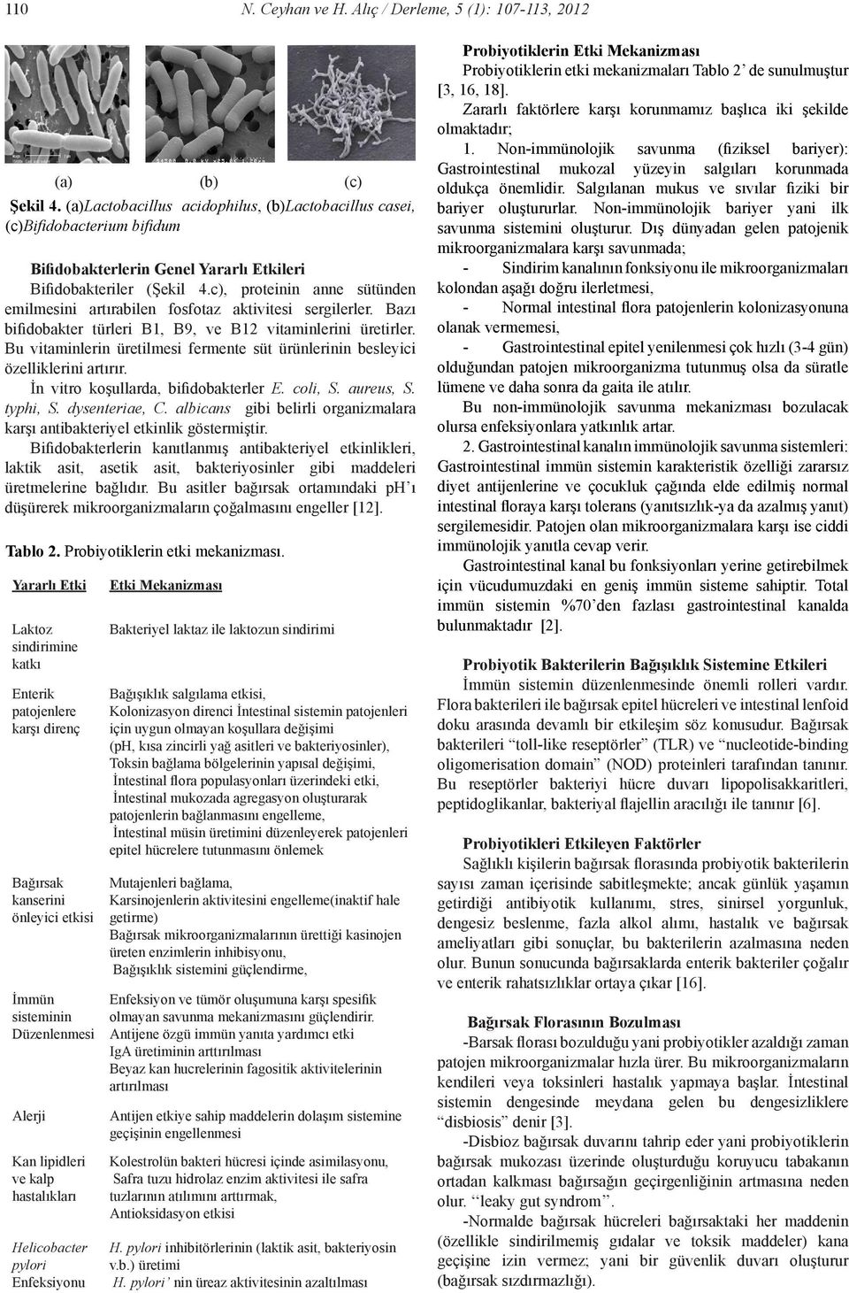 Bu vitaminlerin üretilmesi fermente süt ürünlerinin besleyici özelliklerini artırır. İn vitro koşullarda, bifidobakterler E. coli, S. aureus, S. typhi, S. dysenteriae, C.