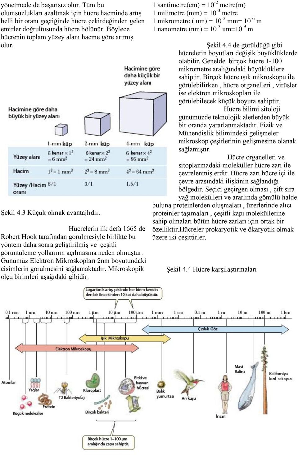 Hücrelerin ilk defa 1665 de Robert Hook tarafından görülmesiyle birlikte bu yöntem daha sonra geliştirilmiş ve çeşitli görüntüleme yollarının açılmasına neden olmuştur.