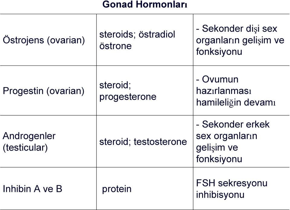 ve B steroid; progesterone steroid; testosterone protein - Ovumun hazırlanması