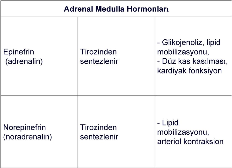 kasılması, kardiyak fonksiyon Norepinefrin (noradrenalin)