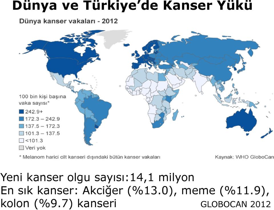 sık kanser: Akciğer (%13.