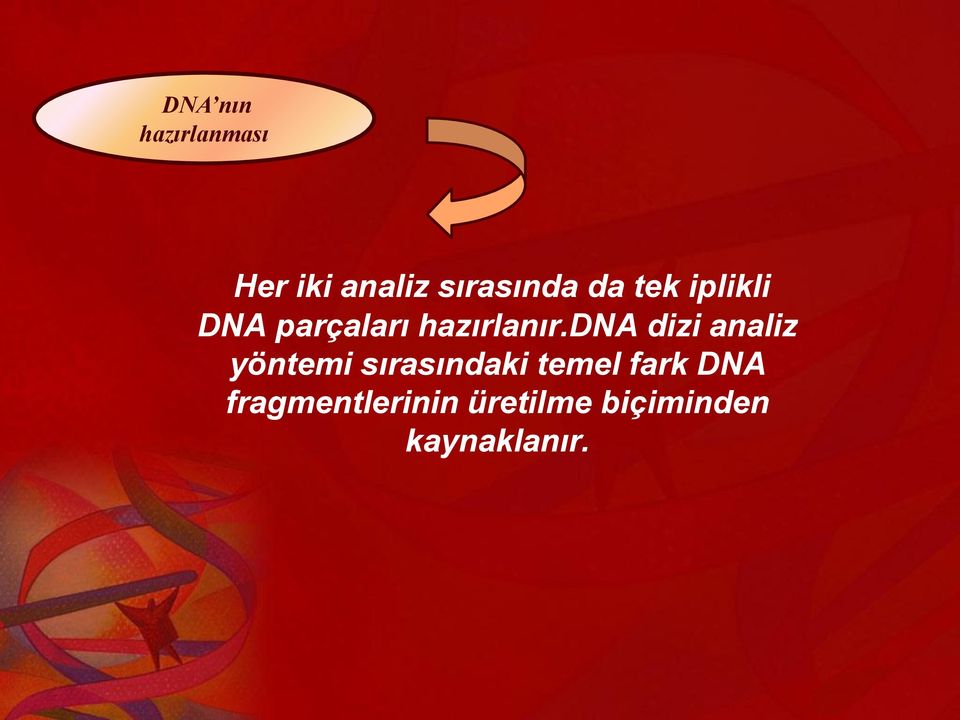 dna dizi analiz yöntemi sırasındaki temel fark