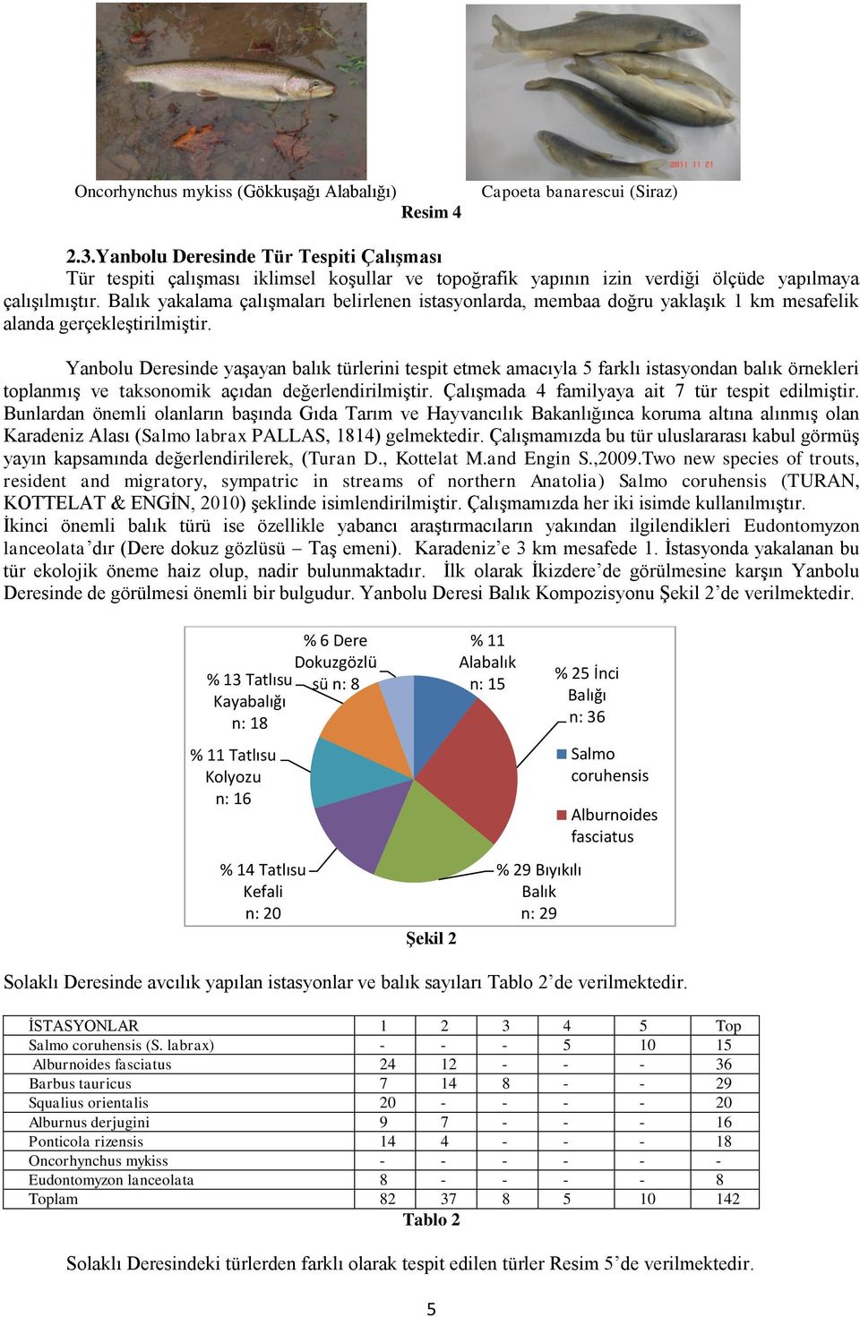 Balık yakalama çalışmaları belirlenen istasyonlarda, membaa doğru yaklaşık 1 km mesafelik alanda gerçekleştirilmiştir.