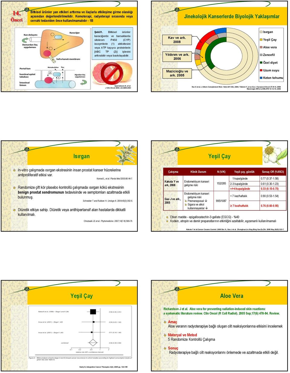 Bitkisel ürünler karaciğerde ve barsaklarda sitokrom P450 (CYP) isozymlerin (1) aktivitesini veya ATP taşıyıcı proteinlerin [ABC TP (2)] işlevini arttırabilir veya baskılayabilir.