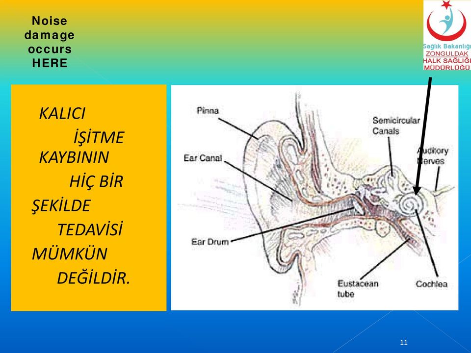 KAYBININ HİÇ BİR