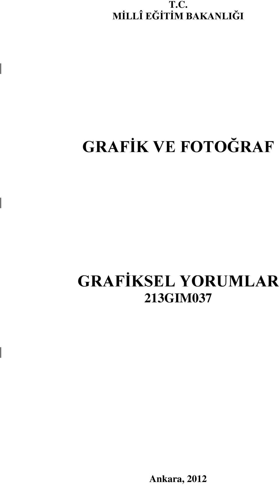 FOTOĞRAF GRAFİKSEL