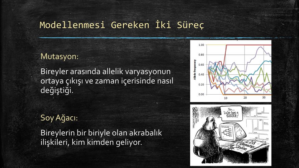 içerisinde nasıl değiştiği.