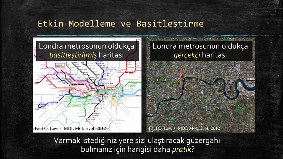 Paul O. Lewis, MBL Mol. Evol.