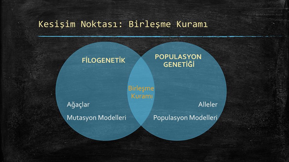 Ağaçlar Birleşme Kuramı Alleler