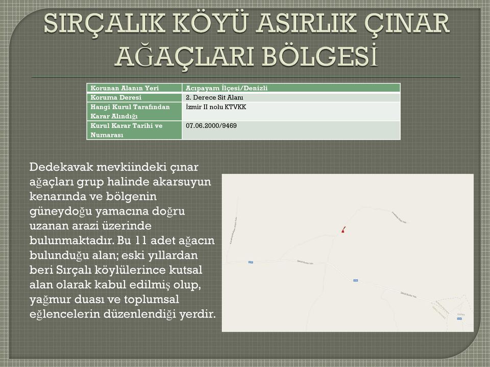 2000/9469 Dedekavak mevkiindeki çınar ağaçları grup halinde akarsuyun kenarında ve bölgenin güneydoğu yamacına doğru uzanan