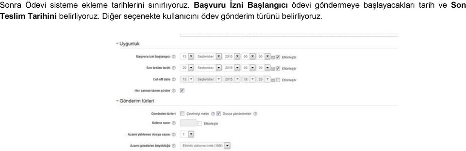 başlayacakları tarih ve Son Teslim Tarihini