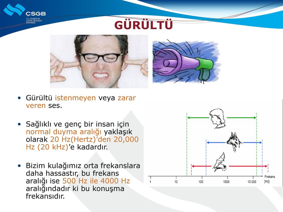 Hz(Hertz) den 20,000 Hz (20 khz) e kadardır.