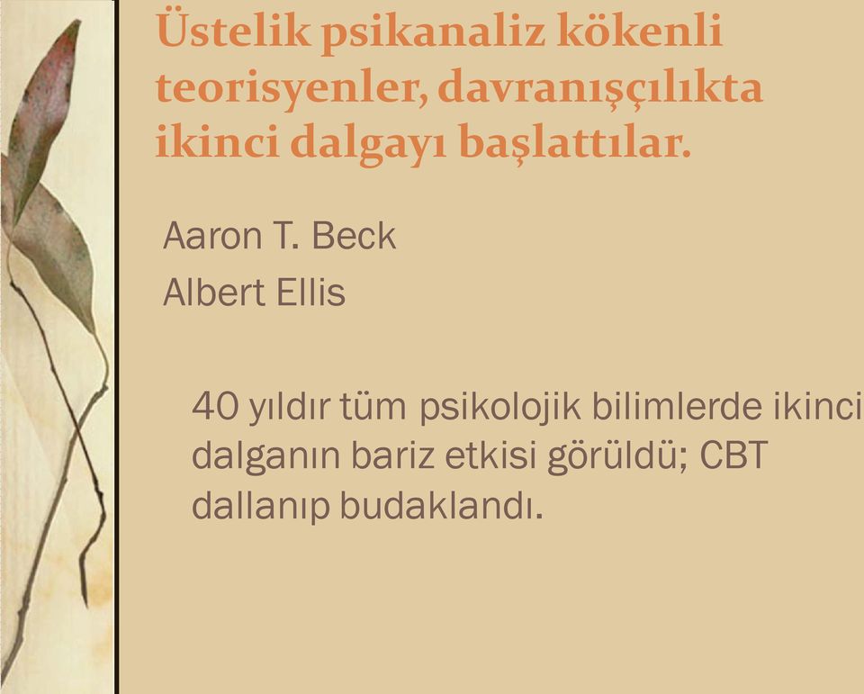 Beck Albert Ellis 40 yıldır tüm psikolojik