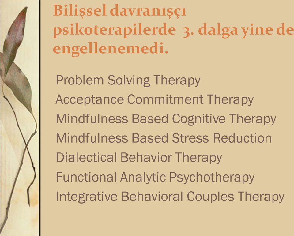 Cognitive Therapy Mindfulness Based Stress Reduction Dialectical Behavior