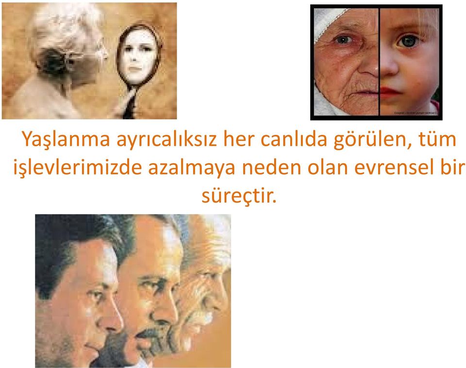 işlevlerimizde azalmaya