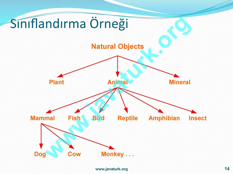 Mammal Fish Bird Reptile