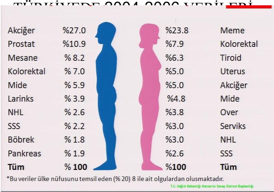 VERİLERİ