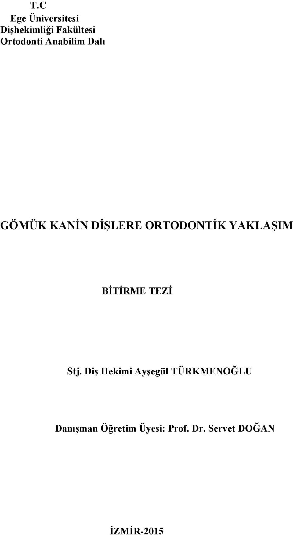 BİTİRME TEZİ Stj.