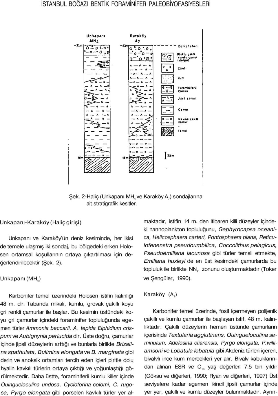 değerlendirilecektir (Şek. 2. Unkapanı (MH 4 Karbonifer temel üzerindeki Holosen istifin kalınlığı 48 m. dir. Tabanda mikalı, kumlu, grovak çakıllı koyu gri renkli çamurlar ile başlar.