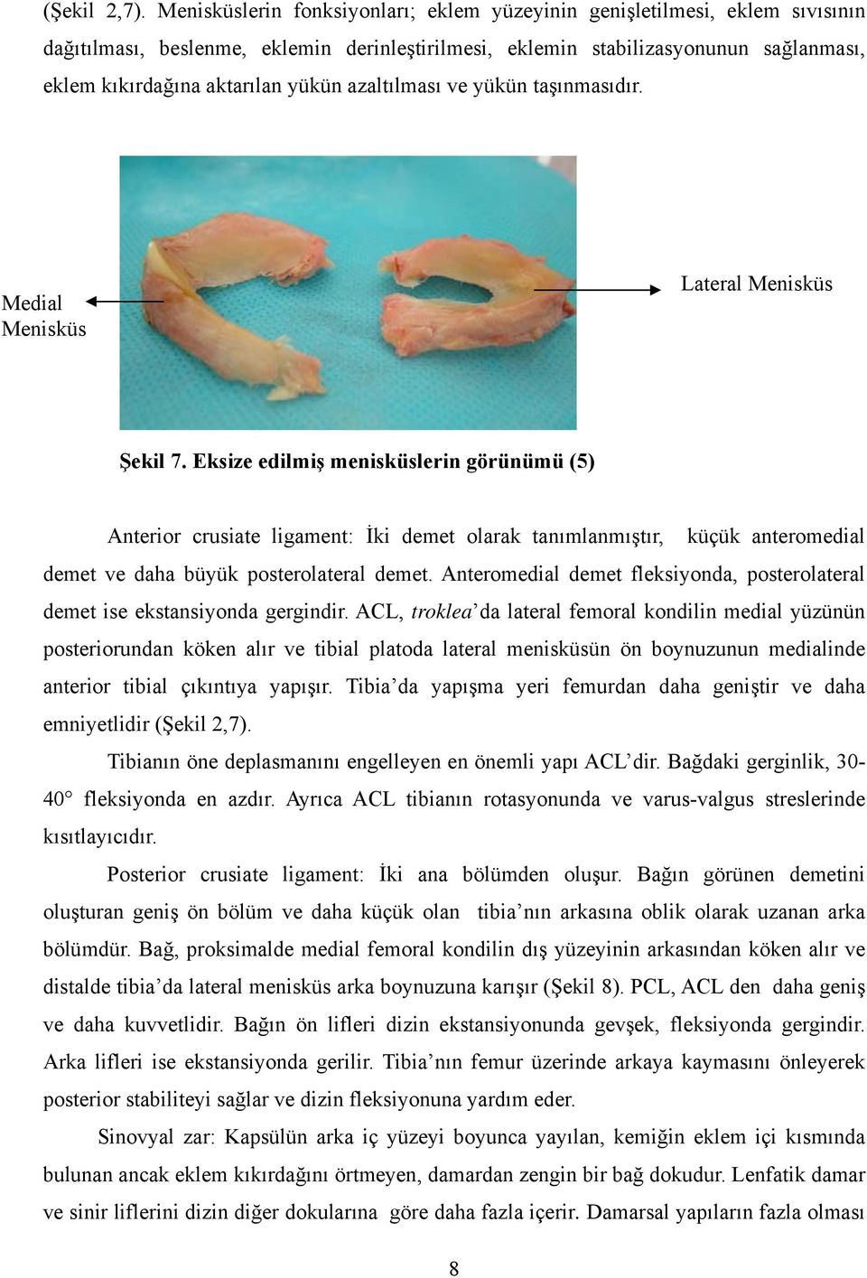 azaltılması ve yükün taşınmasıdır. Medial Menisküs Lateral Menisküs Şekil 7.