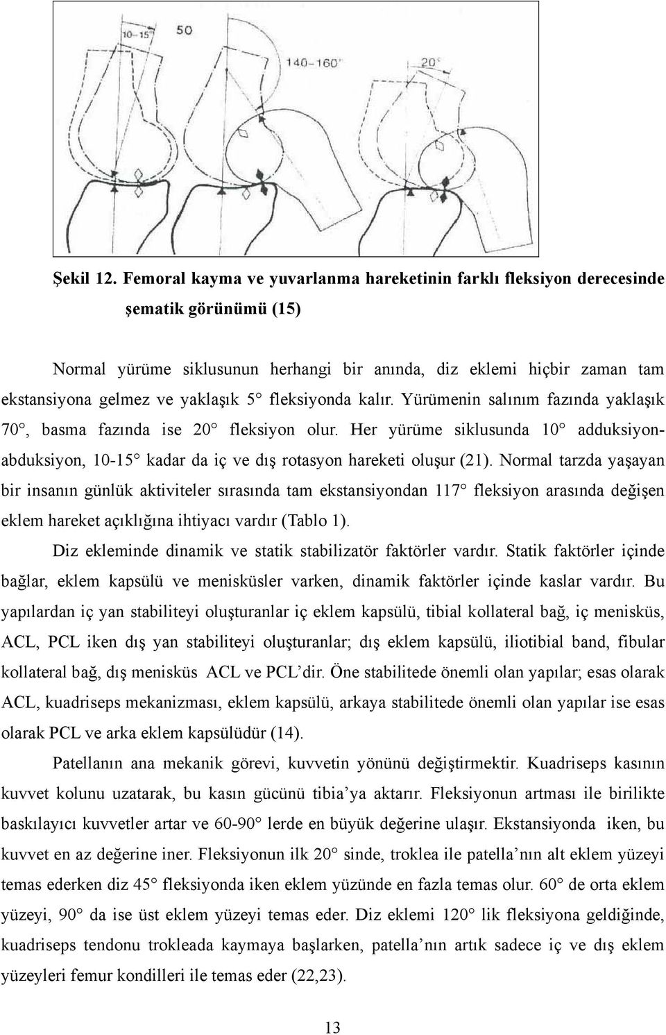 fleksiyonda kalır. Yürümenin salınım fazında yaklaşık 70, basma fazında ise 20 fleksiyon olur. Her yürüme siklusunda 10 adduksiyonabduksiyon, 10-15 kadar da iç ve dış rotasyon hareketi oluşur (21).