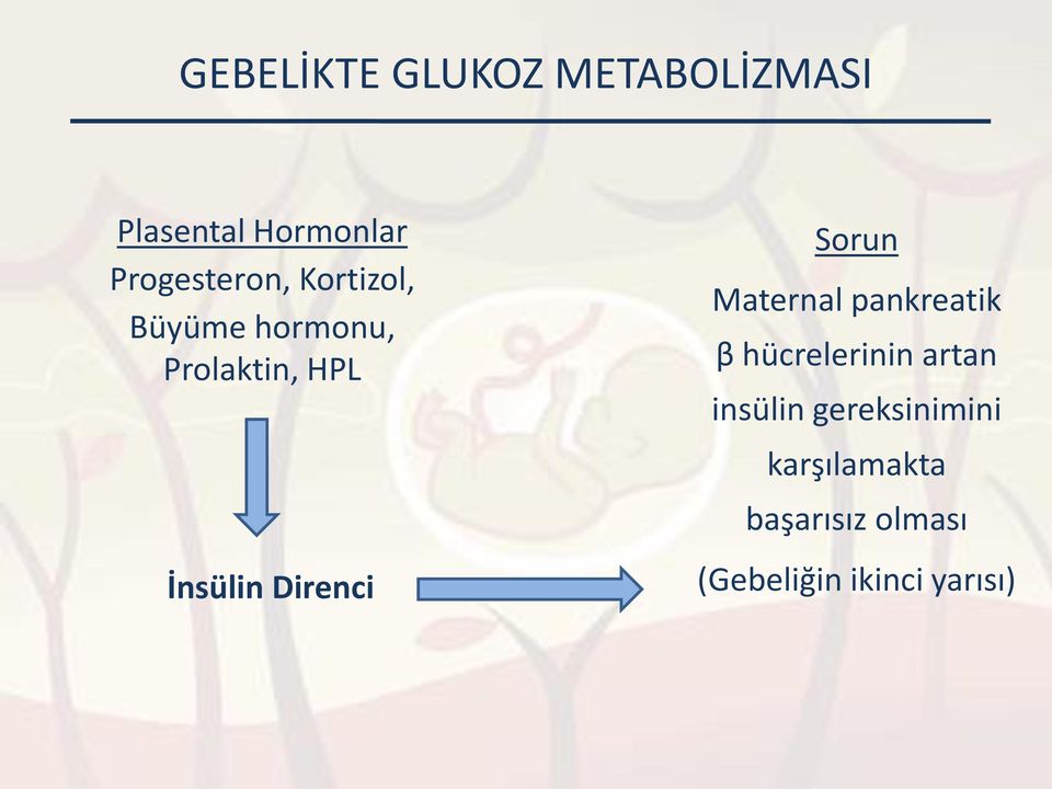 Direnci Sorun Maternal pankreatik β hücrelerinin artan