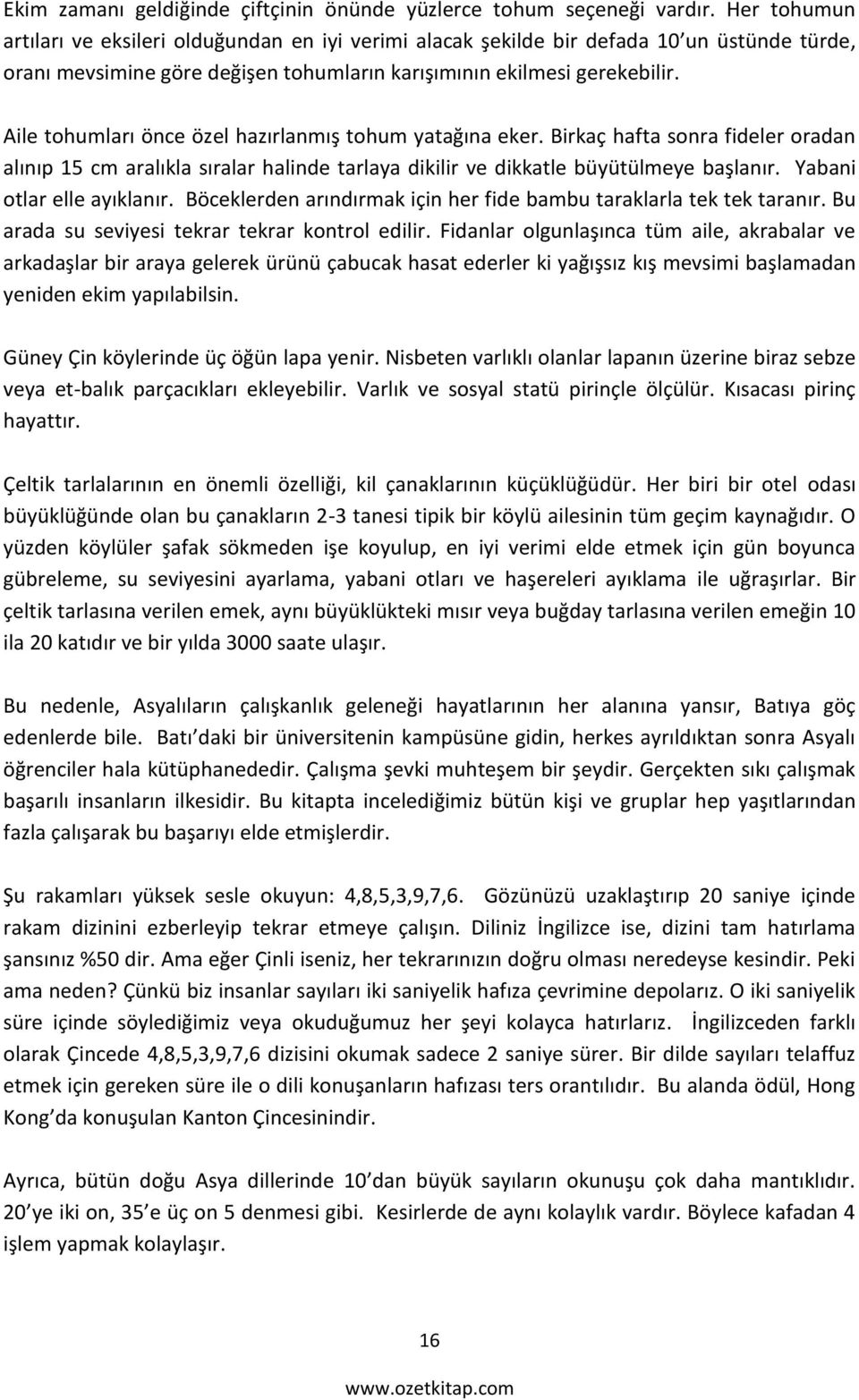 Aile tohumları önce özel hazırlanmış tohum yatağına eker. Birkaç hafta sonra fideler oradan alınıp 15 cm aralıkla sıralar halinde tarlaya dikilir ve dikkatle büyütülmeye başlanır.