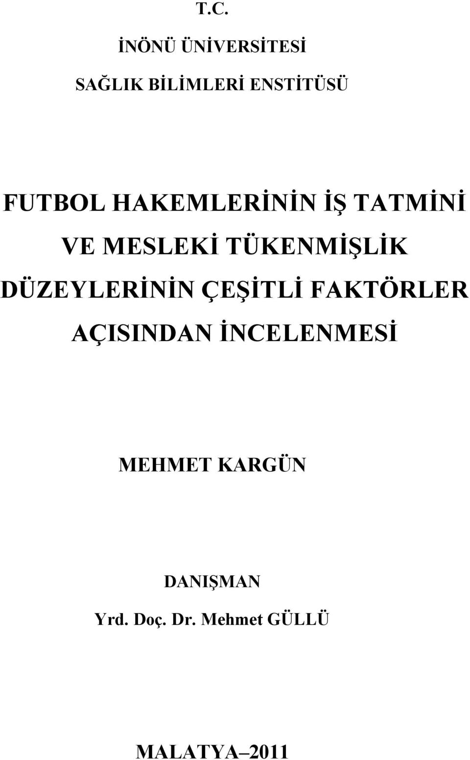 DÜZEYLERİNİN ÇEŞİTLİ FAKTÖRLER AÇISINDAN İNCELENMESİ