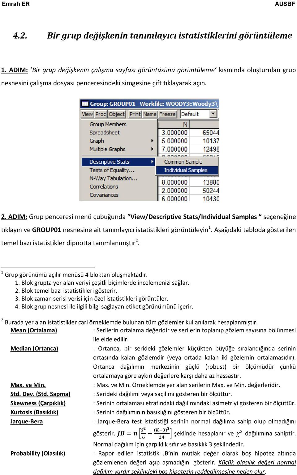 ADIM: Grup penceresi menü çubuğunda View/Descriptive Stats/Individual Samples seçeneğine tıklayın ve GROUP01 nesnesine ait tanımlayıcı istatistikleri görüntüleyin 1.