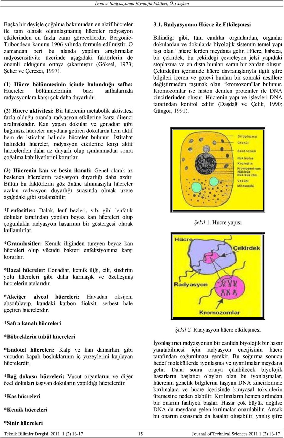 O zamandan beri bu alanda yapılan araştırmalar radyosensitivite üzerinde aşağıdaki faktörlerin de önemli olduğunu ortaya çıkarmıştır (Göksel, 1973; Şeker ve Çerezci, 1997).