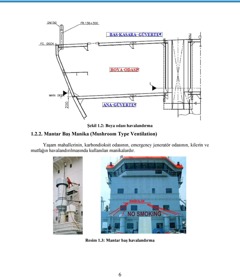 2. Mantar Baş Manika (Mushroom Type Ventilation) Yaşam