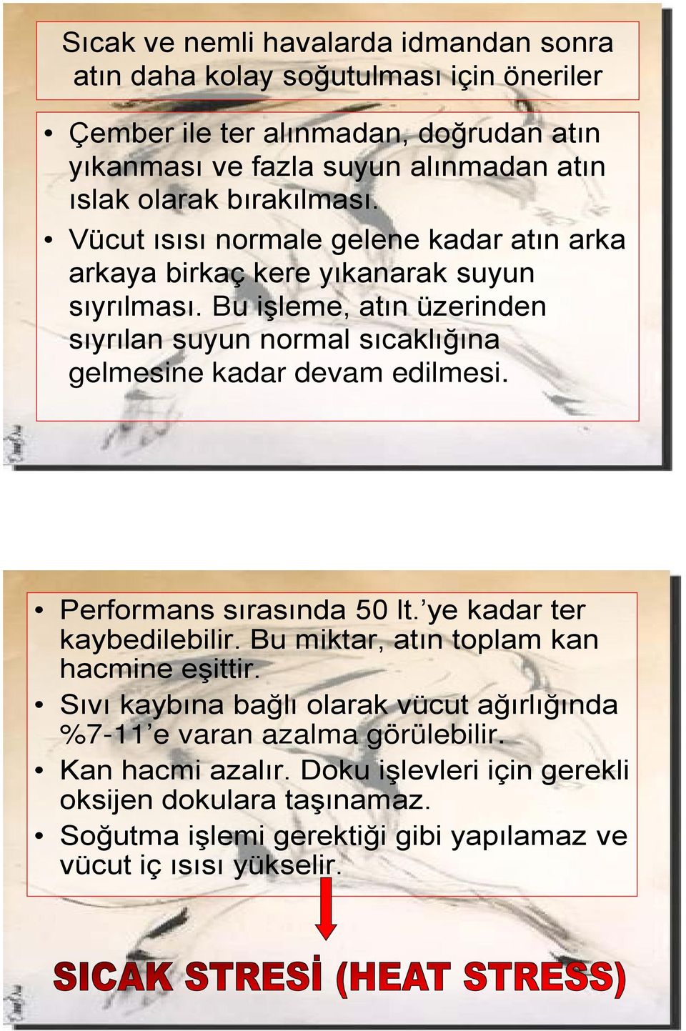 Bu işleme, atın üzerinden sıyrılan suyun normal sıcaklığına gelmesine kadar devam edilmesi. Performans sırasında 50 lt. ye kadar ter kaybedilebilir.