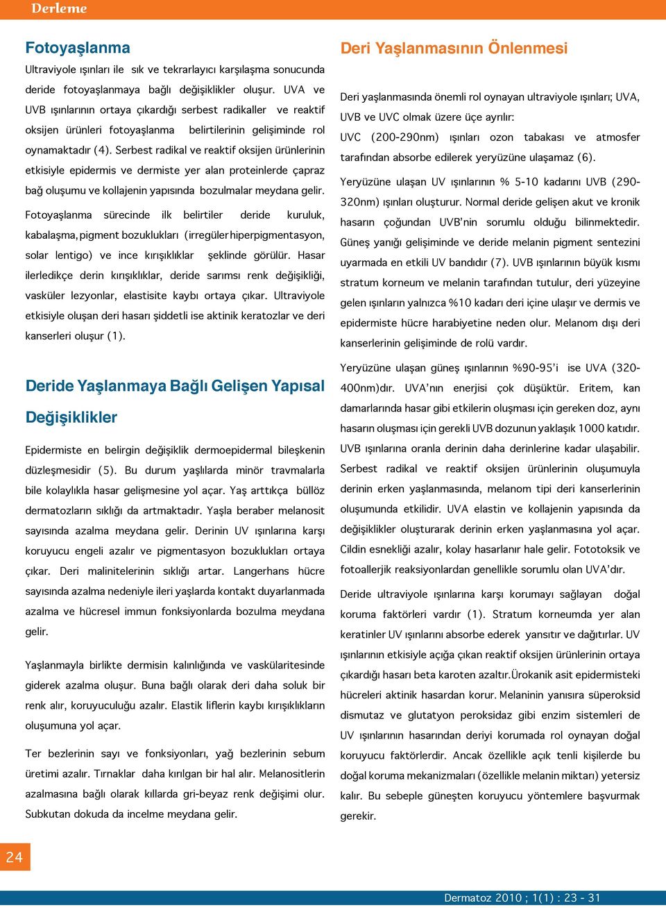 Serbest radikal ve reaktif oksijen ürünlerinin etkisiyle epidermis ve dermiste yer alan proteinlerde çapraz bağ oluşumu ve kollajenin yapısında bozulmalar meydana gelir.