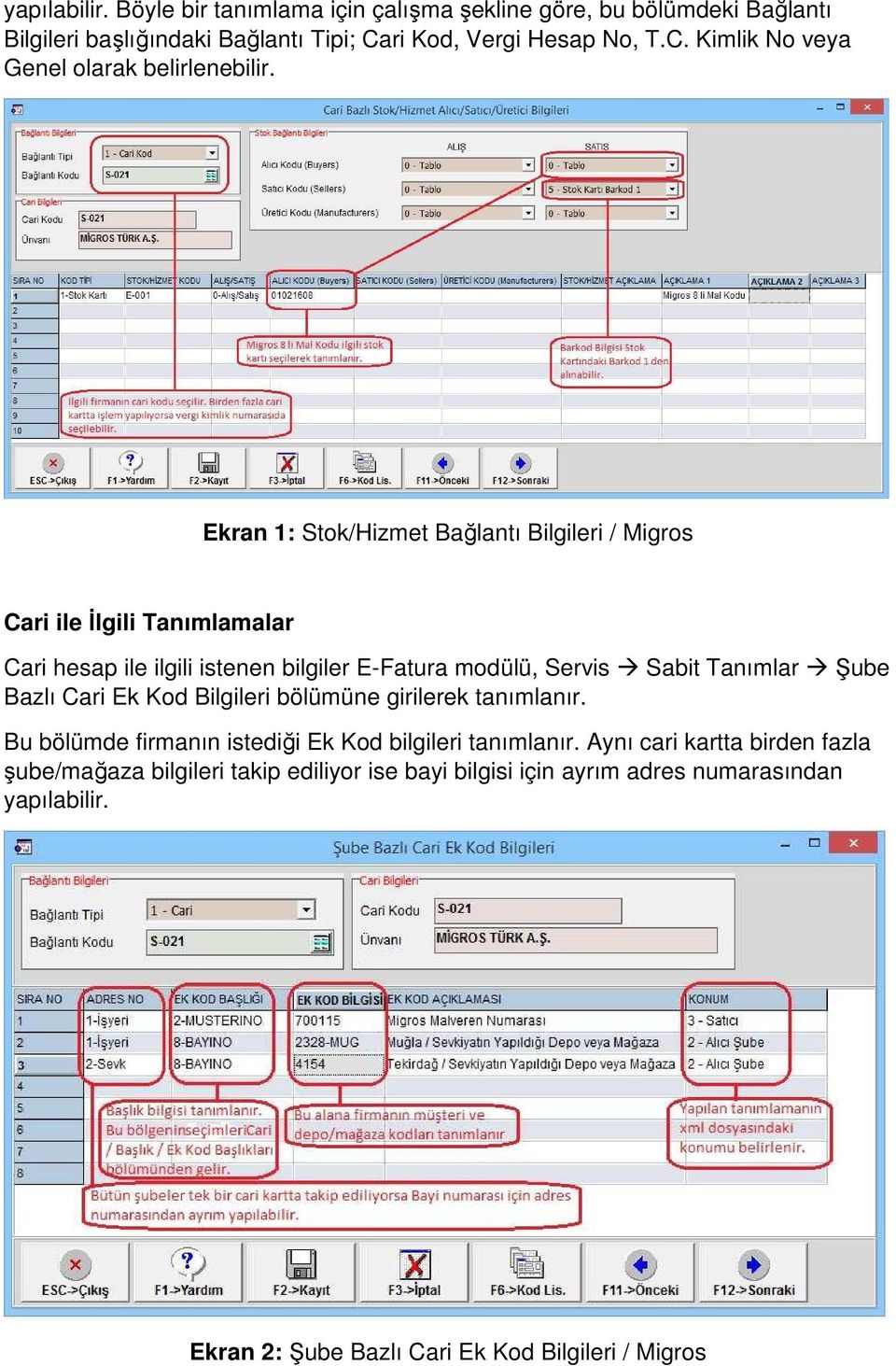 Ekran 1: Stok/Hizmet Bağlantı Bilgileri / Migros Cari ile İlgili Tanımlamalar Cari hesap ile ilgili istenen bilgiler E-Fatura modülü, Servis Sabit Tanımlar Şube