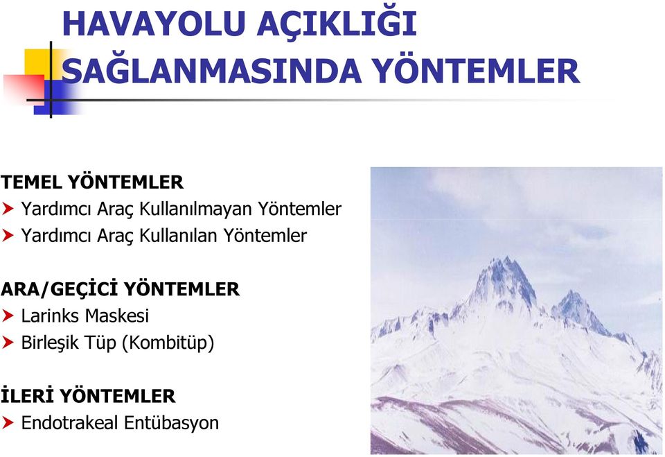 Kullanılan Yöntemler ARA/GEÇİCİ YÖNTEMLER Larinks Maskesi