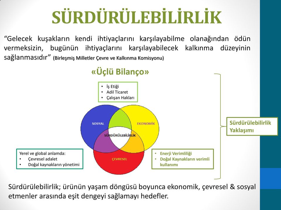 Çalışan Hakları Sürdürülebilirlik Yaklaşımı Yerel ve global anlamda: Çevresel adalet Doğal kaynakların yönetimi Enerji Verimliliği Doğal