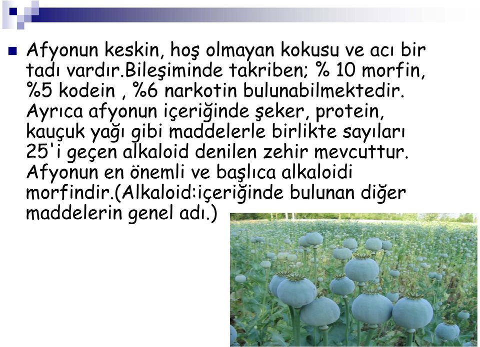 Ayrıca afyonun içeriğinde şeker, protein, kauçuk yağı gibi maddelerle birlikte sayıları 25'i